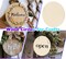 6 Pack Wood Circles for Crafts, 8 Inch Unfinished Wood Circles Discs